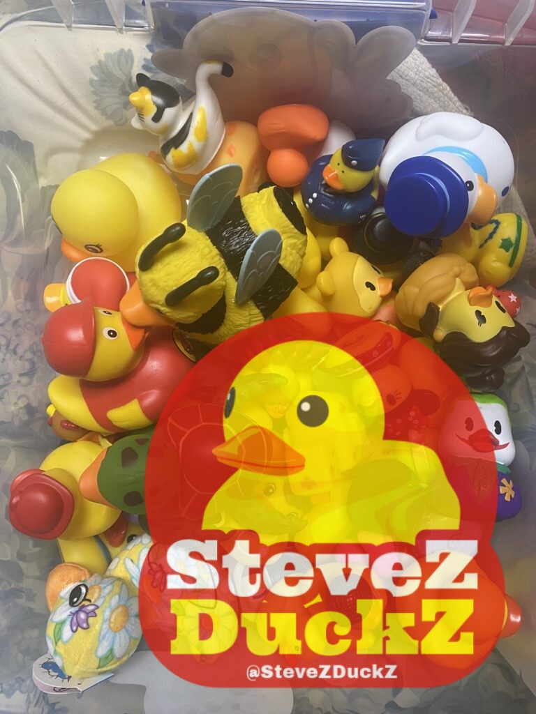 My name is Steve and I have a rubber duck collection. It started maybe a year or so ago when my wife got some rubber ducks and it has grown since. I call my collection SteveZ DuckZ.