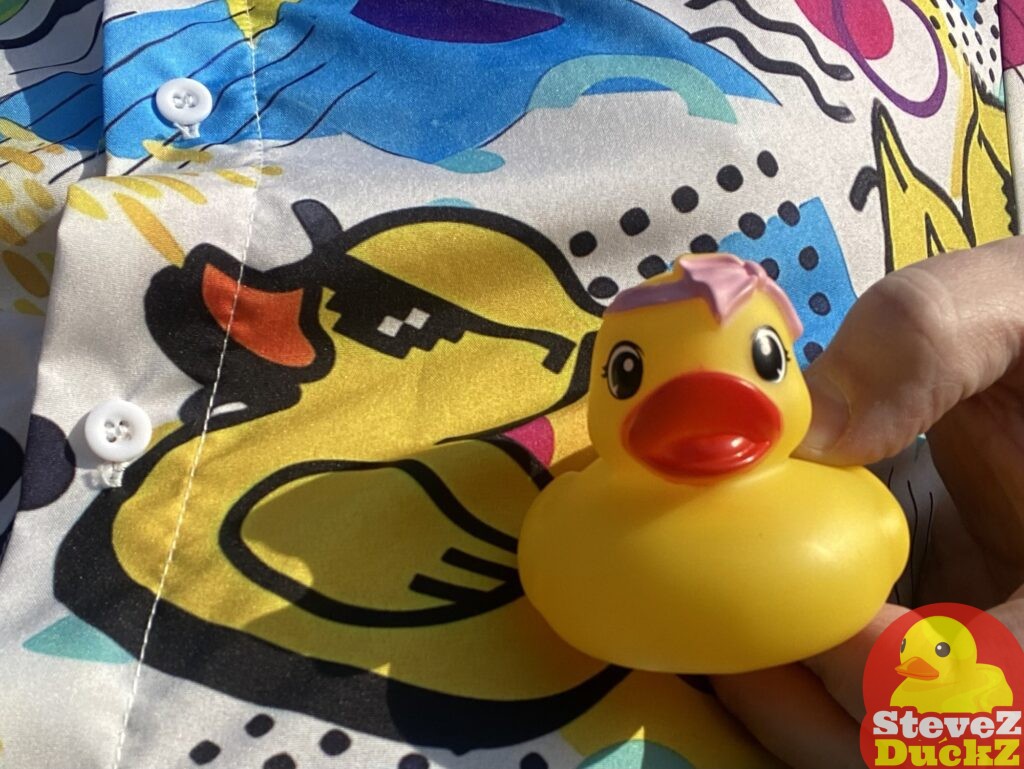 Princess Featherbee — here is a girl rubber duck in my collection. #rubberduckcollection