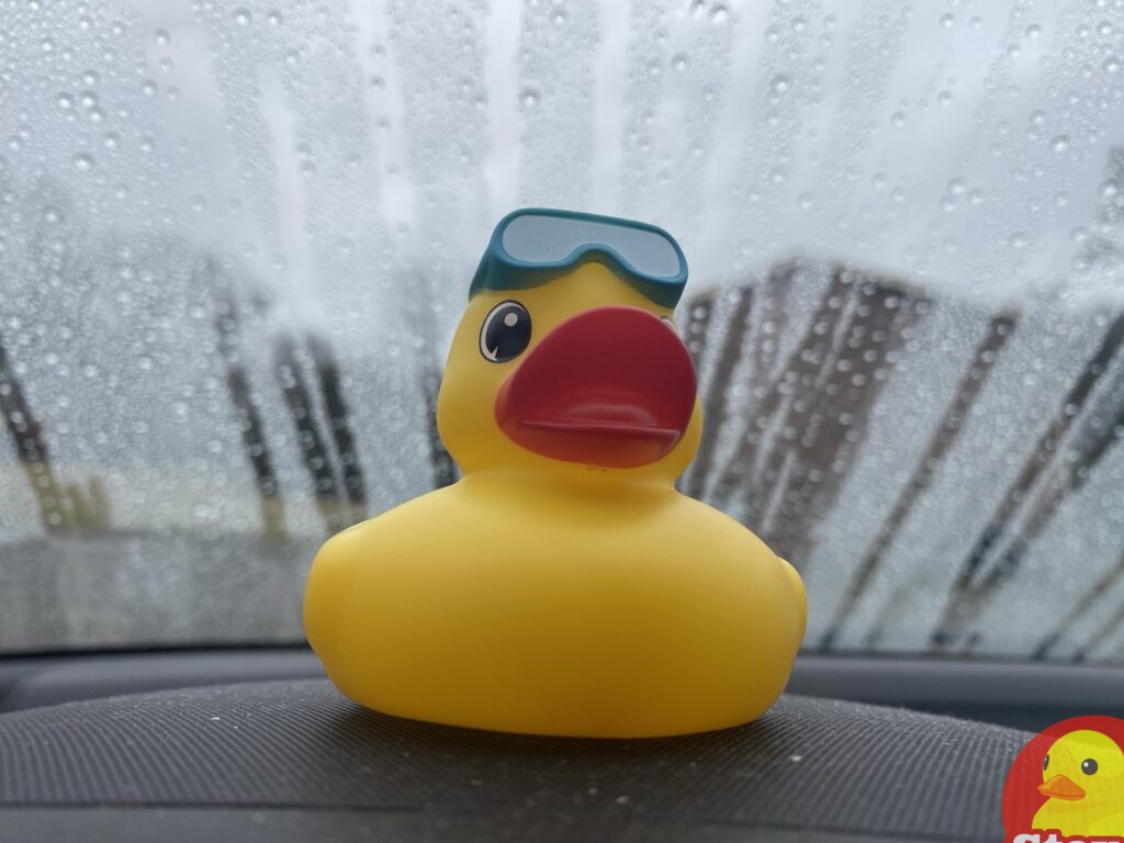 Aqua Duck - he likes the rain and water. 