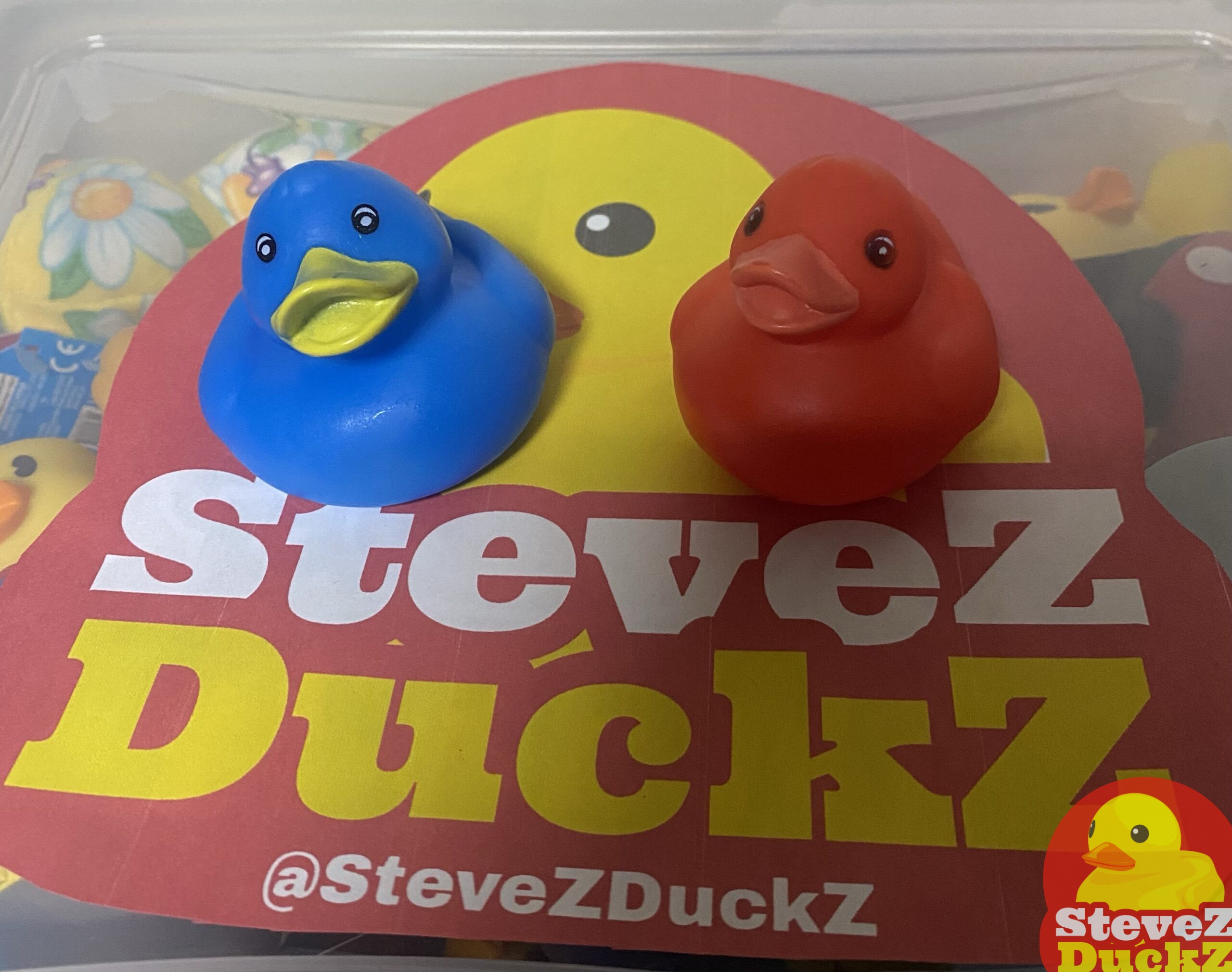 Berry Rubber Ducks