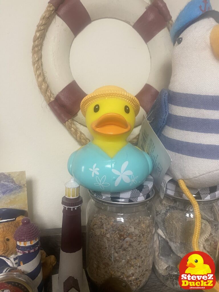 This is Waddles. He is a beach bum rubber duck. He loves to be on the sandy beach along the ocean and all of the coasts all over the world. ​