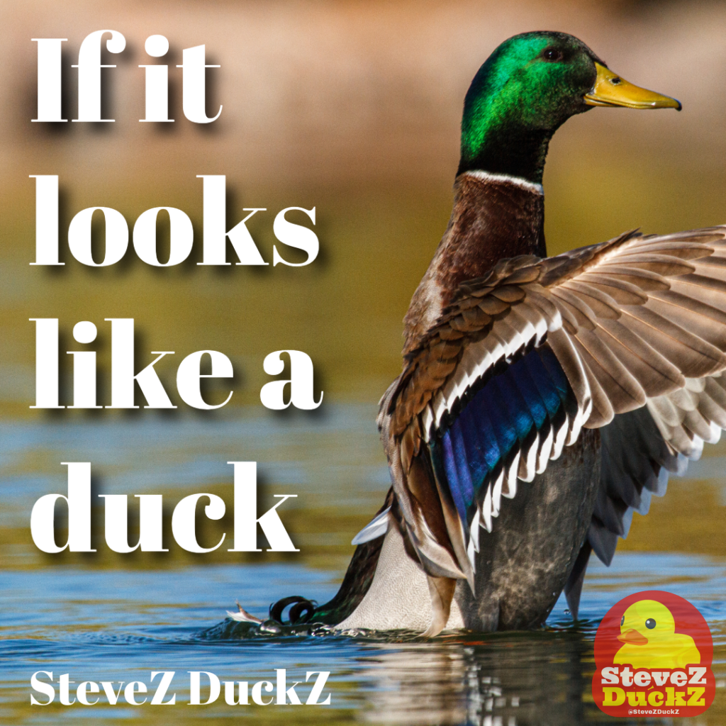 If it looks like a duck, swims like a duck, and quacks like a duck… It's Probably a Duck (and That's the Duck Test!)